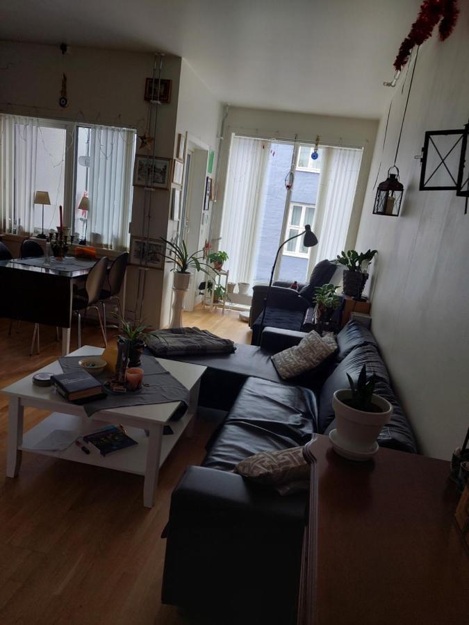 Shared Apartment, Down Town Oslo, Osterhaus'Gate 10 Kültér fotó